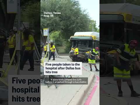 Five people injured after Dallas bus hits tree