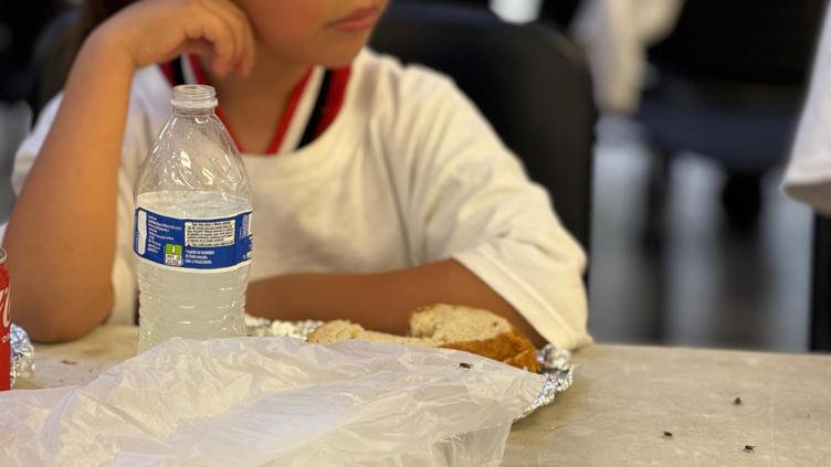 Participaron más de 550 niños en campamentos de centros comunitarios