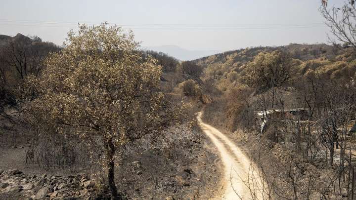 León contabiliza 16 incendios “que requieren atención” en una jornada “con más temperatura, menos humedad y vientos cambiantes”