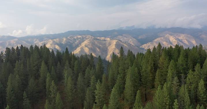 Lawsuit stops the CuMo Project from mining in Boise County, for now