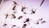 Kent County resident is Michigan's first West Nile virus death of 2025