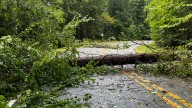 Road reopened following reports of downed tree on Garrison Rd