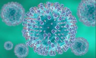 La Provincia en alerta sanitaria por un virus respiratorio: la ocupación de camas pediátricas, al límite en La Plata