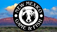 Cyberattack forces Game and Fish to shut down online payment processing