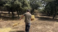 Al rescate de los animales: Madrid reparte agua y comida para la fauna afectada por el incendio de Tres Cantos