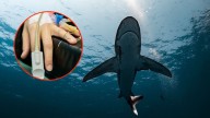 Tiburón ataca a turista que pescaba en las Bahamas y lo deja gravemente herido