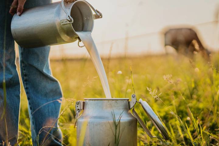 Florida health officials warn public to avoid raw milk after 21 sick