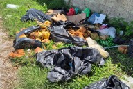 La “calle del no hay” en Champotón: vecinos denuncian abandono y falta de limpieza