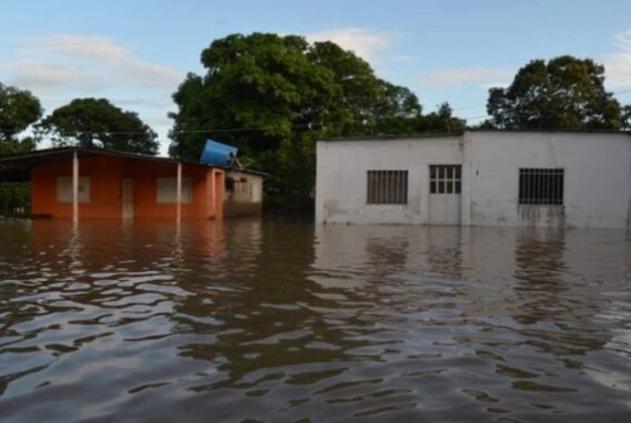 VIDEO: crecida del río Orinoco inunda comunidades en Guárico y el chavismo brilla por su ausencia