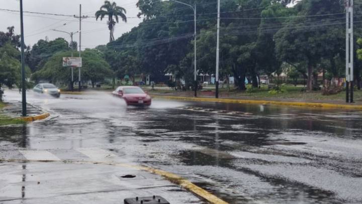 Chubascos y descargas eléctricas en estas regiones de Venezuela