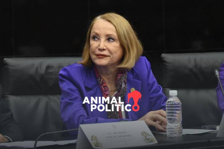 Laura Itzel Castillo, la obradorista que presidirá el Senado