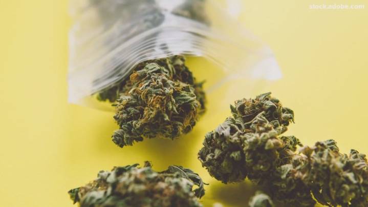 Batavia Police to crack down in illegal cannabis shops