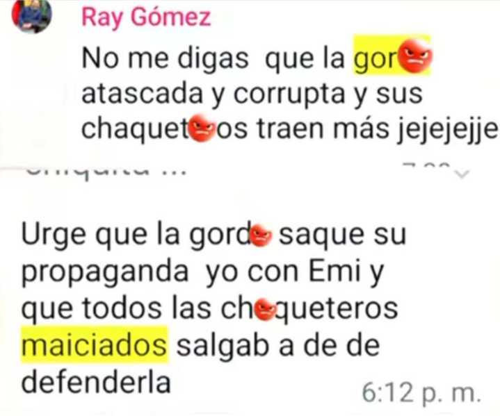 Regidora panista de Salamanca denunciará violencia política de género