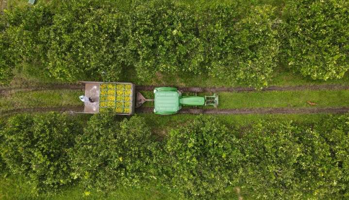 Alternativas de los bancos para financiamiento de proyectos agropecuarios en Colombia