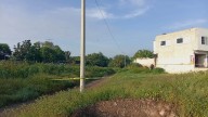 Localizan a mujer sin vida cerca de un arroyo en Purísima del Rincón