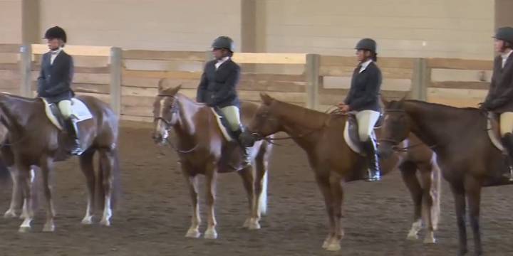 Competing to be a state champion at Annual 4H State Horse Show