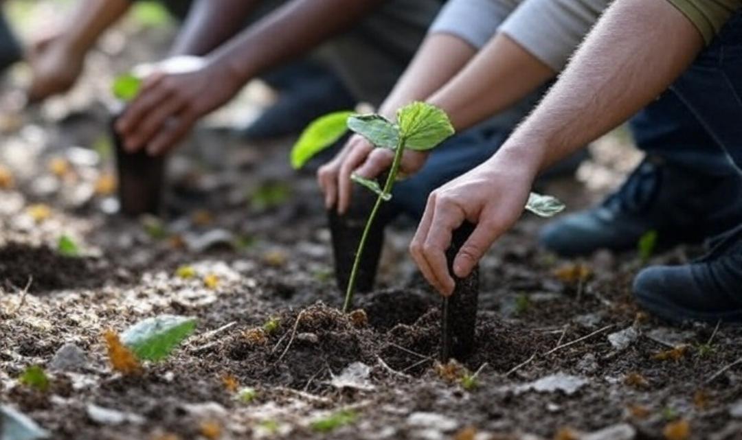 Gobierno de Compostela realiza reforestación en Chacala con 500 árboles