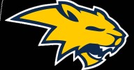 Neuqua Valley’s defense stands tall late, secures 10th straight win over Waubonsie Valley