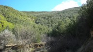 Ontiñena y Estopiñán recibirán dinero para reforzar la salud de sus bosques