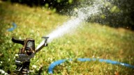 Suffolk County Water Authority begs customers to stop lawn watering
