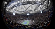US Open 'terrorised' by sex-crazed invasive bugs as fans told to call for help