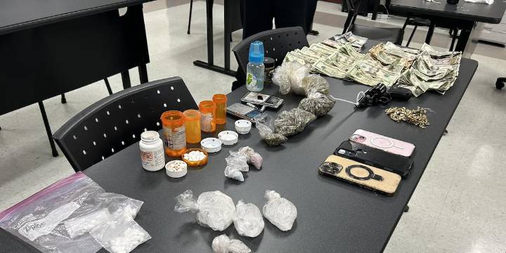 Traffic stop leads to drug bust in Orangeburg County, officials say