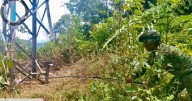 Enfrentamientos armados generan desplazamiento de 22 familias en Anorí