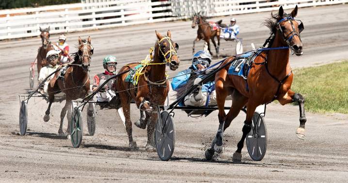 An icon returns to fairgrounds: Roger Huston is 'the' voice of harness racing
