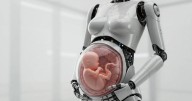 Crean robots con úteros para gestar bebés humanos