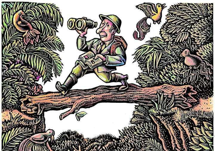 Ni la del cole, ni una de tela: así debe ser la mochila para el monte