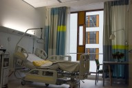 Muere segunda persona por rabia en México