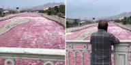 Río Rímac agoniza: aguas negras con coliformes fecales y metales pesados contaminan el agua que llega a Lima