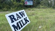 Raw milk from Florida dairy farm linked to E. coli, hospitalizations