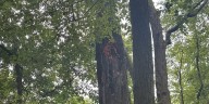 Crews battle brush fire at Kenny Park in Hartford