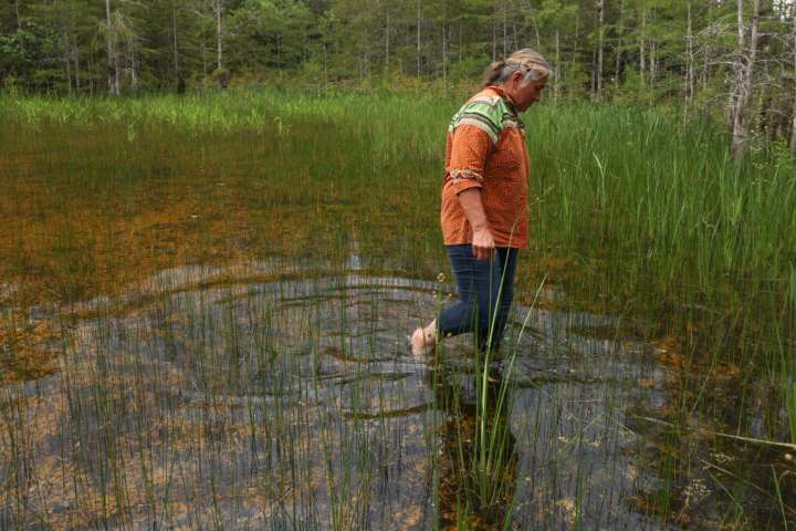 To Florida’s Miccosukee Tribe, the Lands Around Alligator Alcatraz Are Sacred, Pythons and All