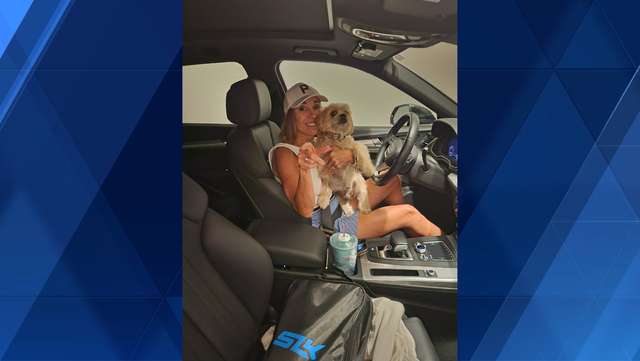Woman dies after being hit by car in Covington while walking her dog