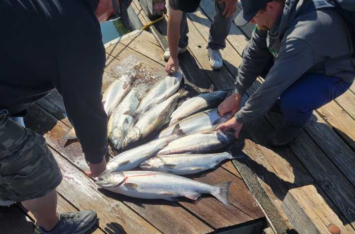 Field notes: Buoy 10 salmon fishing open throughout August