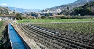 Los agricultores de Vélez de Benaudalla se moviliza en defensa del río Guadalfeo y la agricultura local
