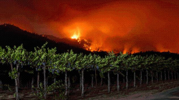 California wine country wildfire surpasses 6,500 acres, mandatory evacuations ordered