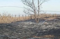 Productores realizaron una denuncia por la quema de pastizales en la zona rural de Parera