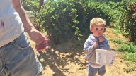 Apple Hill's opening weekend offers sweet treats