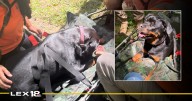 Hiker's dog rescued while having medical emergency on Wolfe County trail