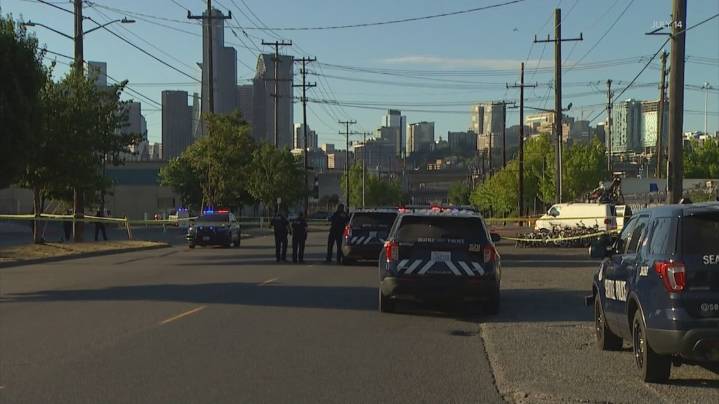 Seattle woman faces murder charge in SODO stabbing
