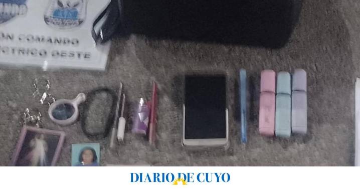 Seis detenidos por distintos robos en San Juan