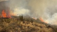 Ecologistas exige "suspender de inmediato" la caza en Castilla y León por los incendios