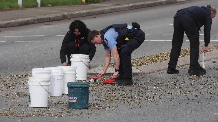 Police sweep up thousands of empty bullet casings at intersection of Guildford Road and First Avenue, Maylands