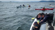 Joint U.S.-Canadian effort rescues 12 kayakers from San Juan Islands