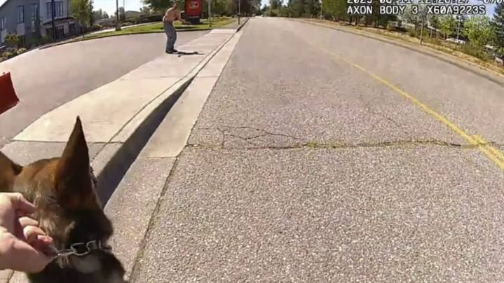 GPS dart helps Snohomish County deputies nab suspect