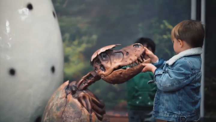 A 2-day interactive dinosaur experience roars back to life at the Miami