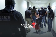 Jueza ordena desmantelar centro de detención de migrantes "Alcatraz de los Caimanes" en Florida